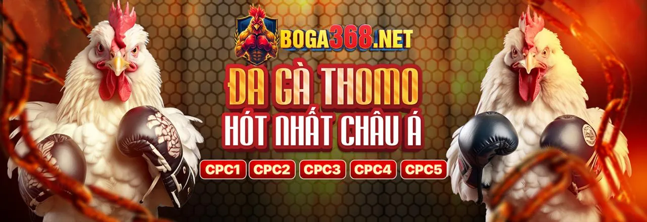 Hoàn trả cược hàng tuần